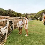 Falkensteiner Capo Boi Hotel